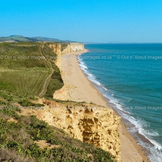 Above Bridport Beach Greeting card D1-067 (8861)