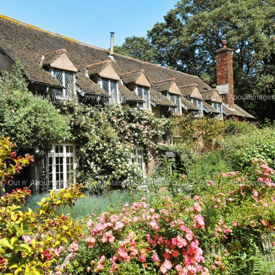 Cottage Garden Greeting card D1-023 (8427)