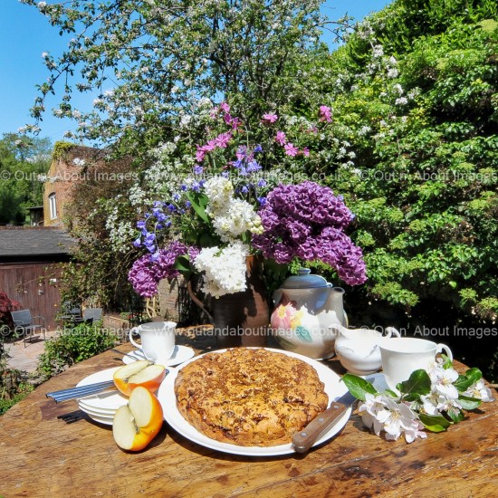 Dorset Apple Cake Greeting card D1-076 (8953)