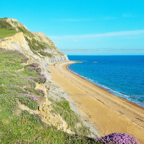 Gold Cap, Dorset Coast Greeting card D1-077 (8960)