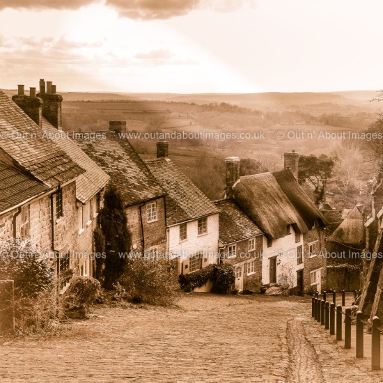 Gold Hill, Dorset ( Sepia ) Greeting card D1-073 (8922)