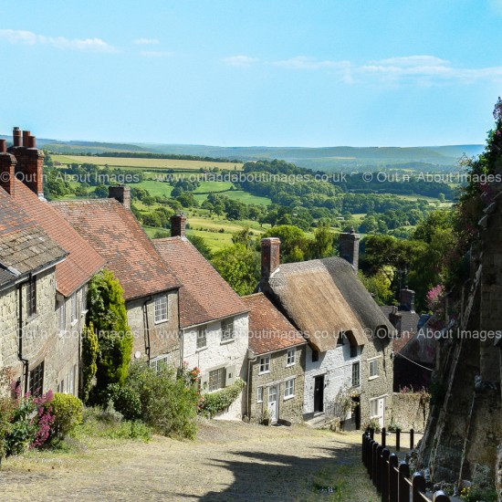 Gold Hill, Dorset Greeting card D1-074 (8939)