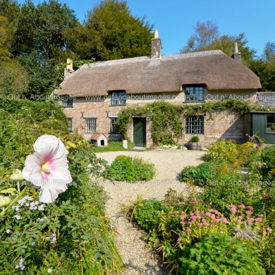 Hardy's Cottage Greeting card D1-069 (8885)