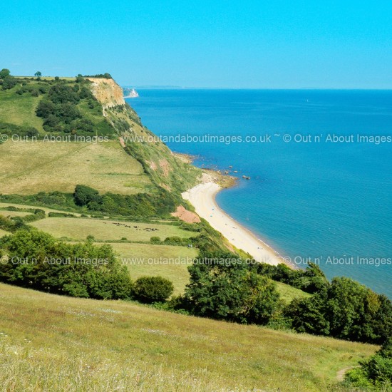 Lower Dunscombe Cliffs, East Devon Greeting card D3-007 (9820)