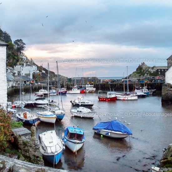 Polperro Cornwall Greeting card D2-008 (9615)