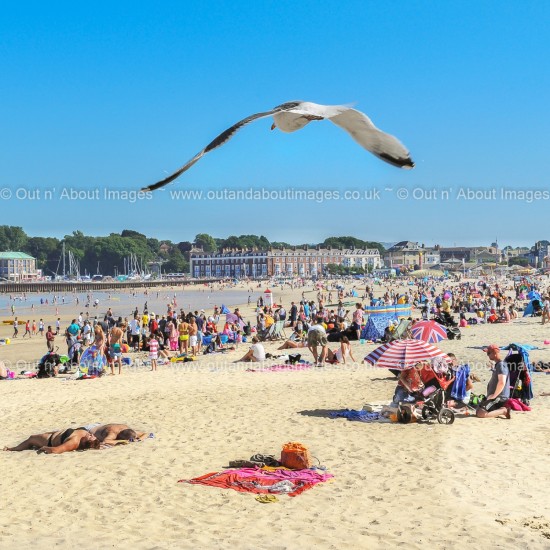 Weymouth Greeting card D1-072 (8915)