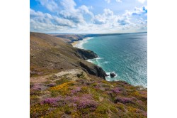 Cornwall Coast